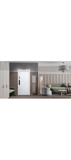 Стальная дверь Лион (биометрический замок) | Порошковое покрытие 