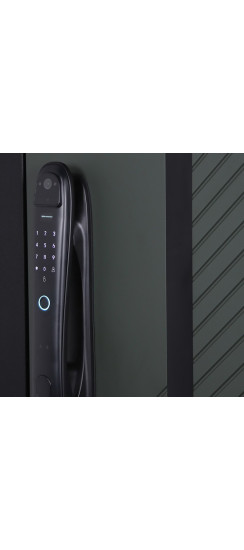 Стальная дверь Лион (биометрический замок) | Порошковое покрытие 