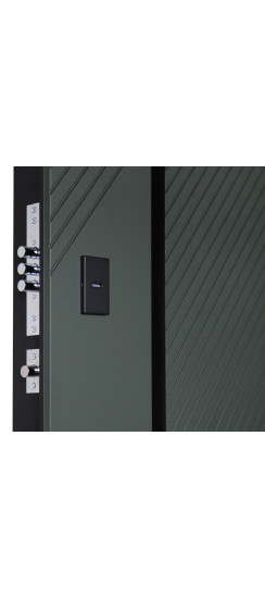 Стальная дверь Лион (биометрический замок) | Порошковое покрытие 