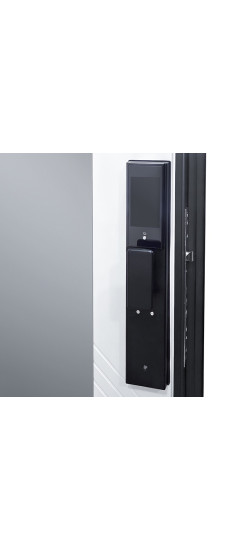 Стальная дверь "Санторини" с зеркалом (биометрический замок). | Порошковое покрытие 