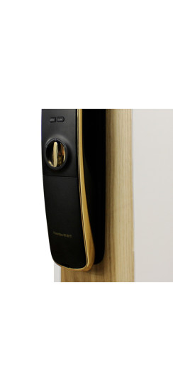 Стальная дверь "Lamborghini". Заказная модель. | Два цвета покраски коробки: внешняя сторона - 