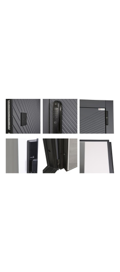 Стальная дверь "Бастион" с зеркалом (биометрический замок) | Порошковое покрытие 