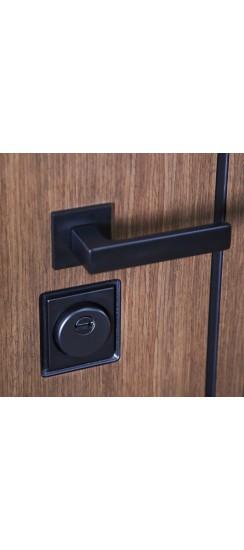 Стальная дверь "Фаворит" с матовым зеркалом. Заказная модель. | Порошковое покрытие 