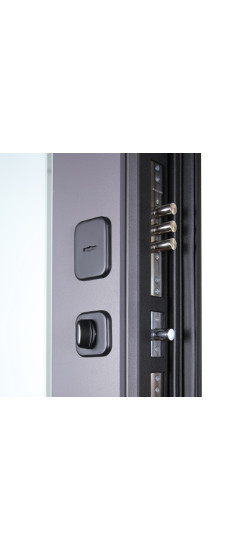 Стальная дверь "Ego". Заказная модель. | Порошковое покрытие 