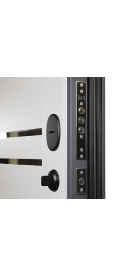 Стальная дверь "Валенс". Заказная модель. | Порошковое покрытие 