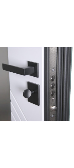 Стальная дверь "Агава" с зеркалом. Заказная модель. | Порошковое покрытие 