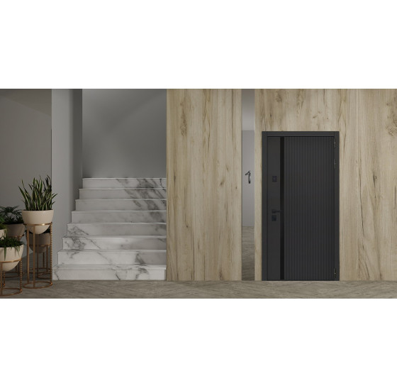 Стальная дверь "Silver" с зеркалом. Заказная модель. | Порошковое покрытие 