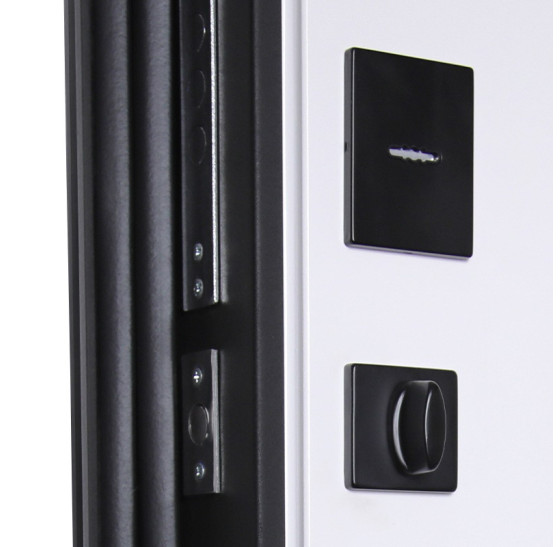 Стальная дверь "Silver" с зеркалом. Заказная модель. | Порошковое покрытие 