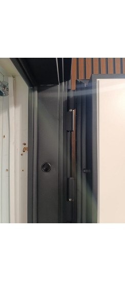 Стальная дверь "Амстердам". Заказная модель. | Порошковое покрытие 