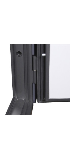 Стальная дверь "Статус". Заказная модель. | Порошковое покрытие 