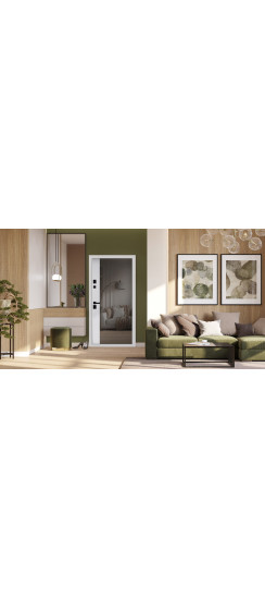 Стальная дверь "Форт" с зеркалом | Порошковое покрытие 