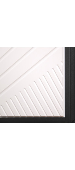 Стальная дверь "Ferrum" от дизайнеров | Порошковое покрытие 