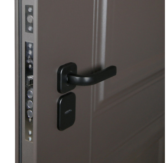 Стальная дверь "Коралл" (терморазрыв 3к). Заказная модель. | Порошковое покрытие 