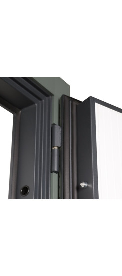 Стальная дверь "Лига". Заказная модель. | Порошковое покрытие 