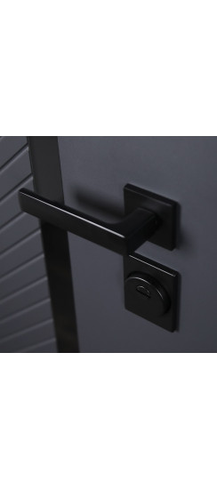 Стальная дверь "Гавана". Заказная модель. | Порошковое покрытие 