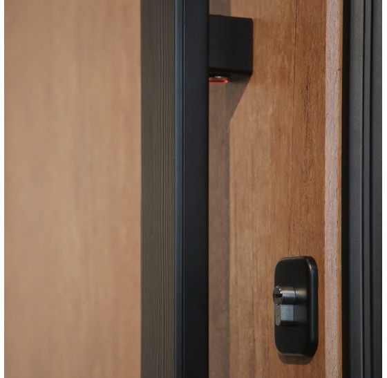 Стальная дверь "Tibr" (терморазрыв). Заказная модель. 2100х1700 | Два слоя покрытия металла: цинкогрунт, порошковое покрытие «муар черный». Два слоя влагостойкого покрытия МДФ панелей: масло Мербау, лак ПУ., 2100 х 1700 Основная створка 900 мм. 