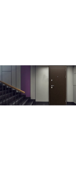 Стальная дверь "Триумф". Заказная модель. | Порошковое покрытие 