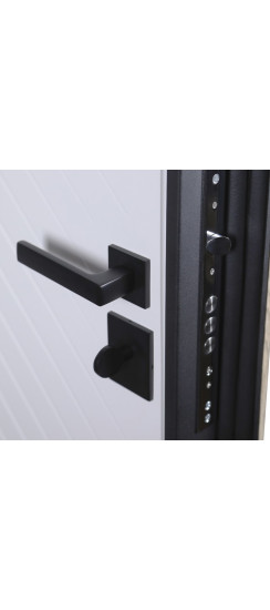 Стальная дверь «Vertu» (адаптивная замковая часть). Заказная модель. | Порошковое покрытие 