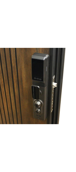 Стальная дверь "Jazz". Заказная модель. | Первый слой - цинкогрунт, второй слой - порошковое покрытие 