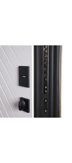 Стальная дверь "Бастион" с биометрическим замком | Порошковое покрытие 