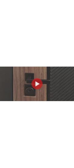 Стальная дверь "Planum". Заказная модель. | Порошковое покрытие 