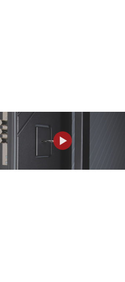 Стальная дверь "Агава" с зеркалом. Заказная модель. | Порошковое покрытие 