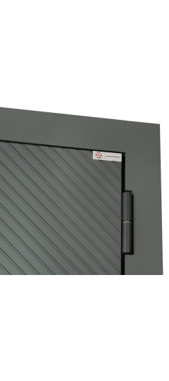 Стальная дверь "Форпост". Заказная модель. | Порошковое покрытие 