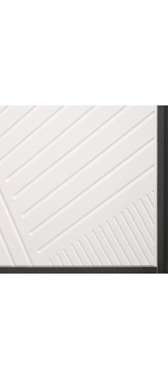 Стальная дверь "Авангард" с механическим замком | Порошковое покрытие 