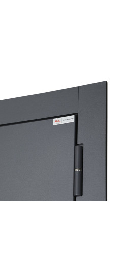 Стальная дверь "Lanua". Заказная модель. | Порошковое покрытие 