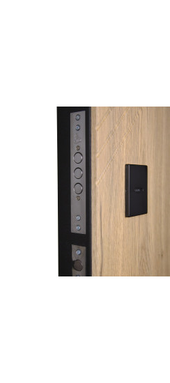 Стальная дверь "Эдинбург" с зеркалом (адаптивная замковая часть) | Порошковое покрытие 