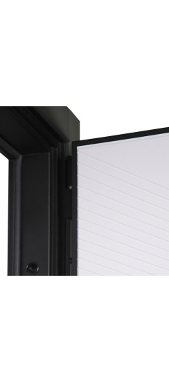 Стальная дверь "Ferrum" от дизайнеров | Порошковое покрытие 