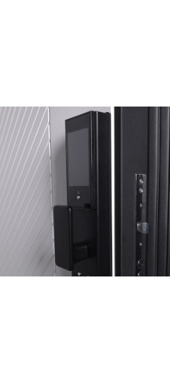 Стальная дверь "Лима" (биометрический замок). Заказная модель. | Порошковое покрытие 