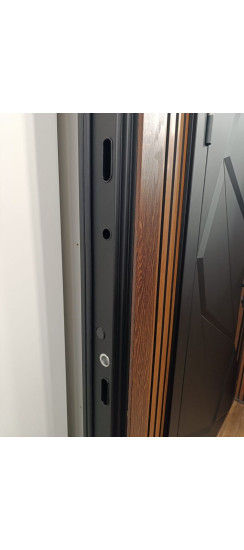 Стальная дверь "Денвер"  (биометрический замок). Заказная модель. | Порошковое покрытие 