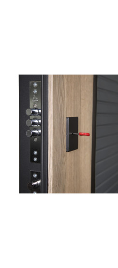 Стальная дверь "Авангард" с зеркалом (биометрический замок) | Порошковое покрытие 