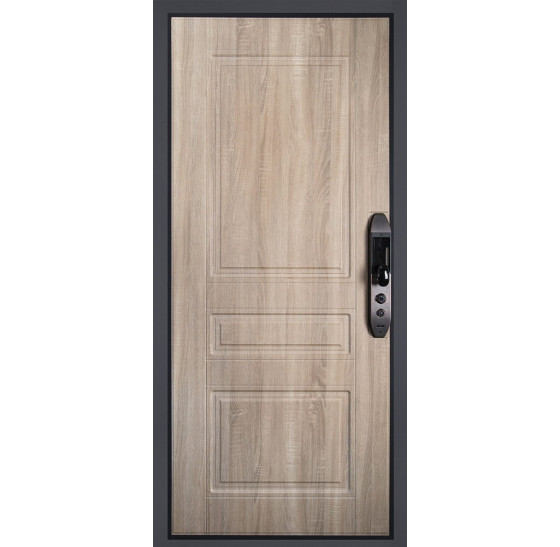 Стальная дверь "Royal". Заказная модель. | Порошковое покрытие 