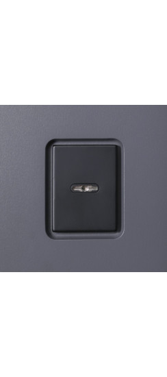 Стальная дверь "Divina". Заказная модель. | Порошковое покрытие 