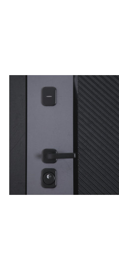 Стальная дверь "Рондо". Заказная модель. | Порошковое покрытие 