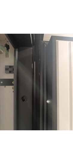 Стальная дверь "Freedom" Заказная модель. | Порошковое покрытие 