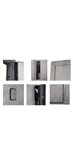 Стальная дверь "Сантос". Заказная модель. | Порошковое покрытие 