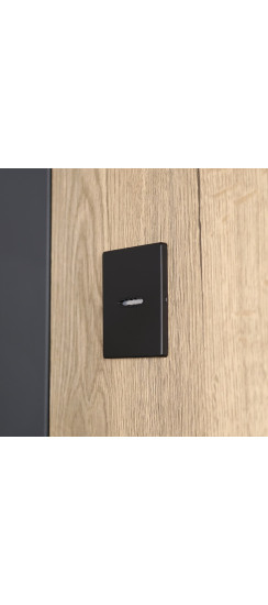 Стальная дверь "Авангард" с зеркалом | Порошковое покрытие 