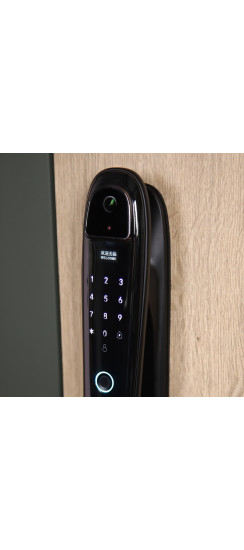 Стальная дверь "Ferrum" (биометрический замок) | Порошковое покрытие 