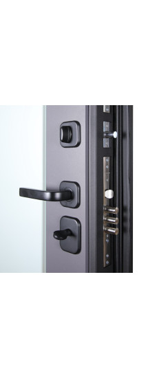 Стальная дверь "Ego". Заказная модель. | Порошковое покрытие 