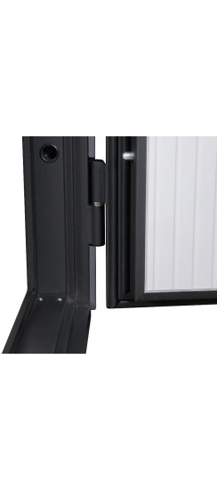 Стальная дверь "Divina". Заказная модель. | Порошковое покрытие 