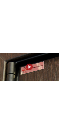 Стальная дверь "Гермес". Заказная модель. | Порошковое покрытие 