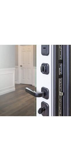 Стальная дверь "Dominica" с зеркалом. Заказная модель. | Порошковое покрытие 