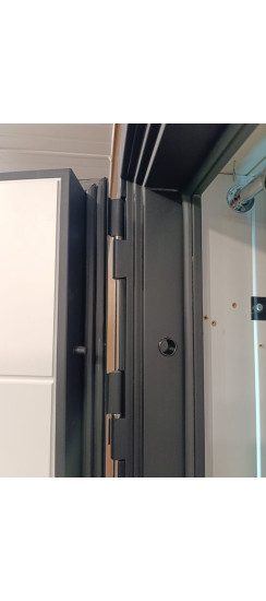 Стальная дверь "Аша" 3Д (биометрический замок). Заказная модель. | Порошковое покрытие 