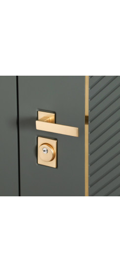 Стальная дверь "Лига". Заказная модель. | Порошковое покрытие 