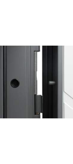 Стальная дверь "Стелла". Заказная модель. | Порошковое покрытие 