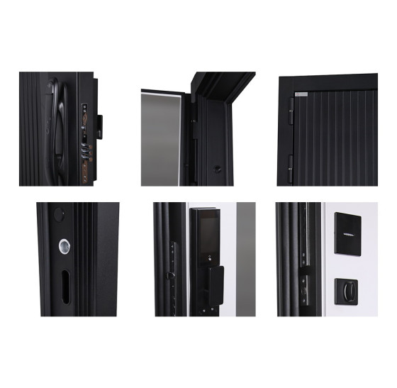 Стальная дверь "Silver" с зеркалом (биометрический замок) | Порошковое покрытие 