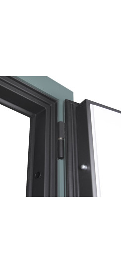 Стальная дверь "Афина". Заказная модель. | Порошковое покрытие 